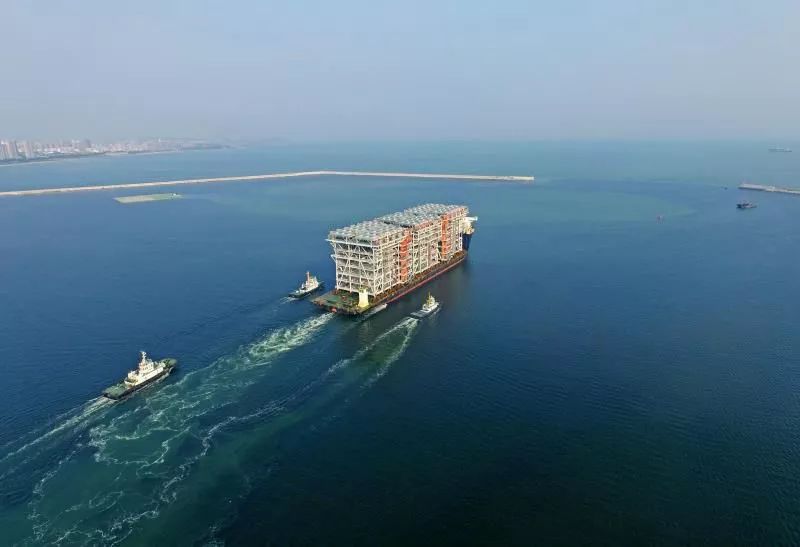 退役后务农，哈姆西克：和妻子养了29只鸡，鸡蛋多得吃不完（挂靴回乡务农，哈姆西克与妻子养29只鸡：鸡蛋多到吃不完）